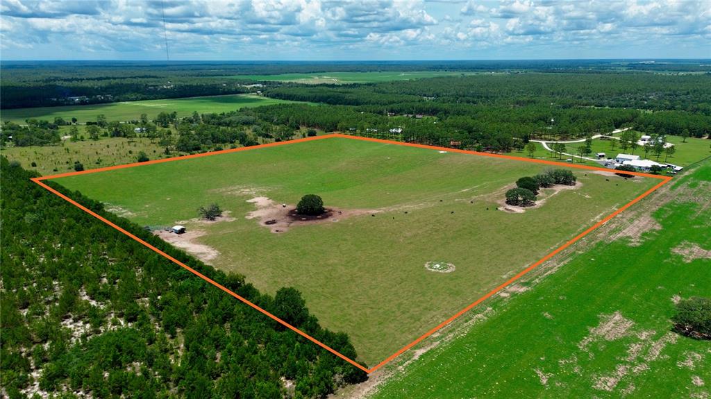 An aerial view shows a large, fenced-in grassy pasture with scattered trees and cattle — SE 54TH STREET, MORRISTON, FL