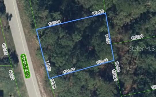 This is a satellite map view showing the property boundaries and dimensions of a vacant lot — 205 SERENADE DRIVE, LAKE PLACID, FL