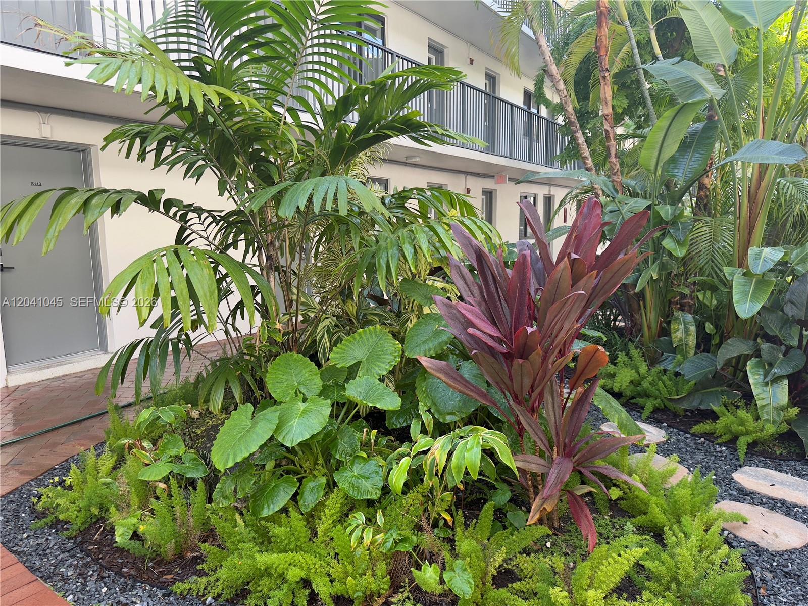 A lush garden with tropical plants and palms sits in front of a multi-story building — 3242 Mary St # S115, Miami FL 33133, MIAMI, FL