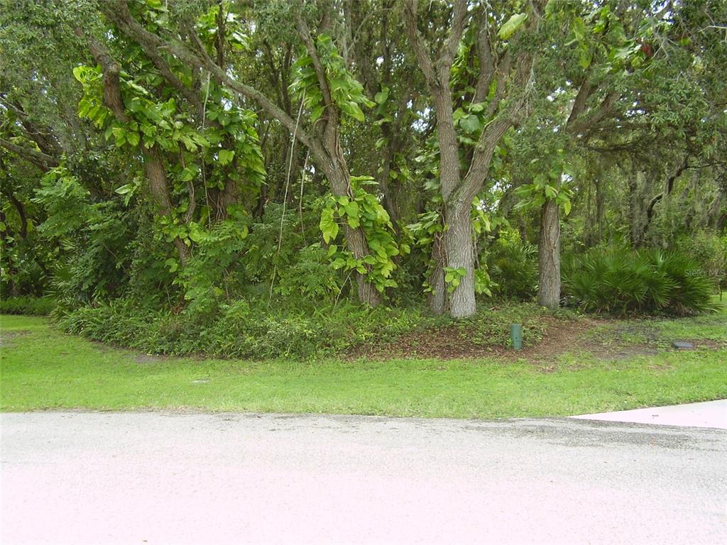 410 ANISE PLACE