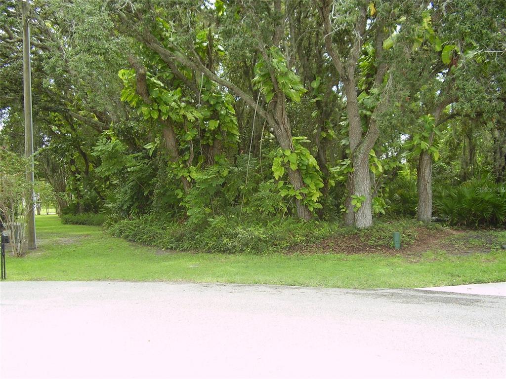 A grassy lot with mature trees and dense vegetation sits along a paved road — 410 ANISE PLACE, KISSIMMEE, FL
