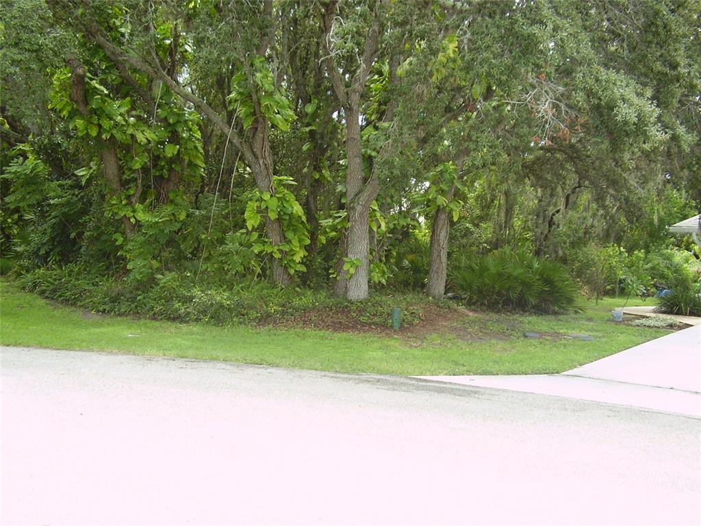 A grassy yard with mature trees and dense foliage borders a paved street and driveway — 410 ANISE PLACE, KISSIMMEE, FL
