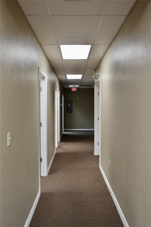 A carpeted office hallway features beige walls, white trim, and a drop ceiling with lights — 2496 CARING WAY UNIT B, PORT CHARLOTTE, FL
