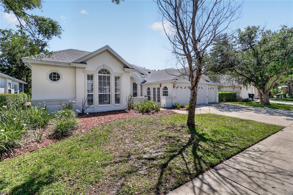A single-story house with a light-colored stucco exterior, a shingled roof, and a paved driveway — 10206 SHADOW BRANCH DRIVE, TAMPA, FL
