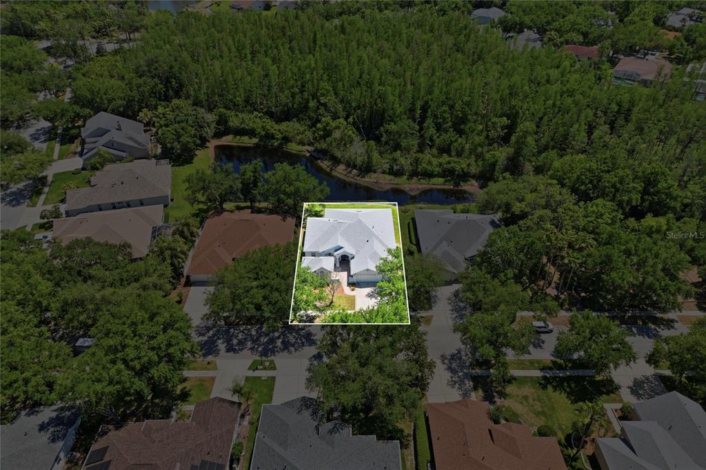 An aerial view shows a single-family house highlighted within a residential neighborhood near a pond — 10206 SHADOW BRANCH DRIVE, TAMPA, FL