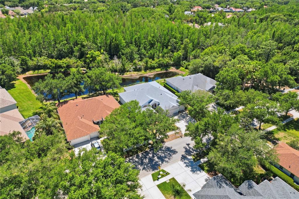 An aerial view shows several suburban houses with shingled roofs surrounded by trees and ponds — 10206 SHADOW BRANCH DRIVE, TAMPA, FL