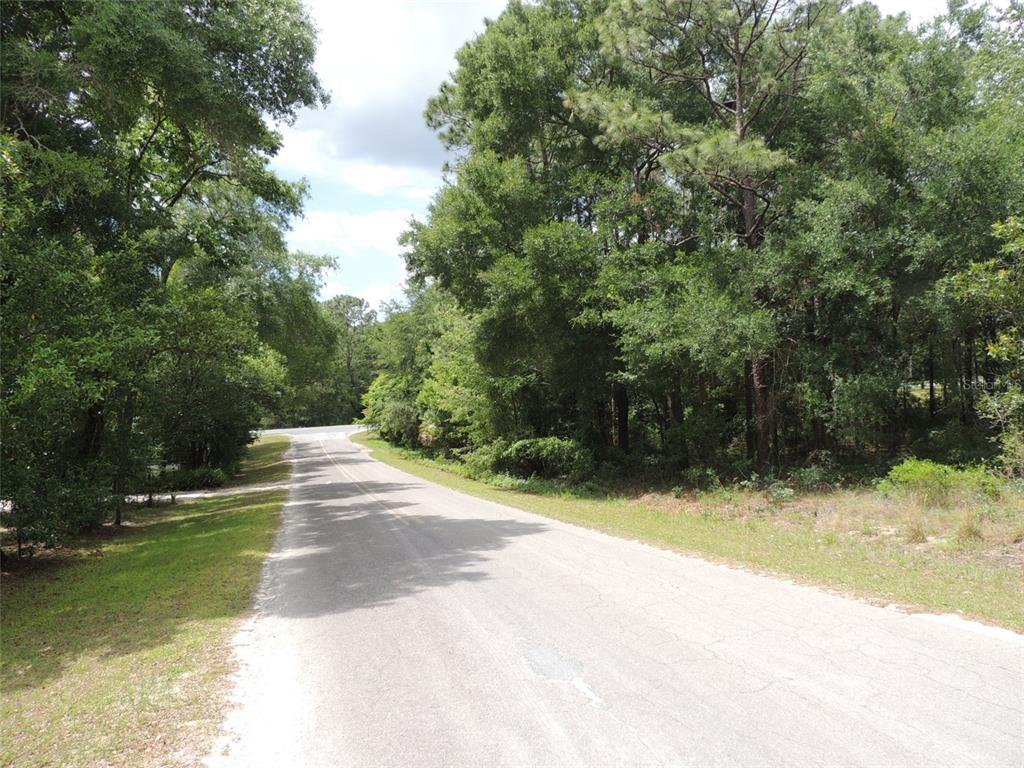 15955 NE 13TH STREET, WILLISTON, FL — photo 3 of 6