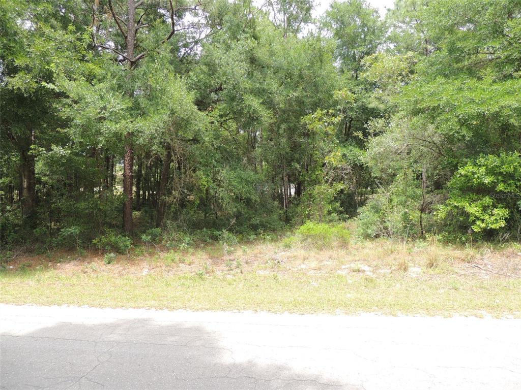 15955 NE 13TH STREET, WILLISTON, FL — photo 4 of 6