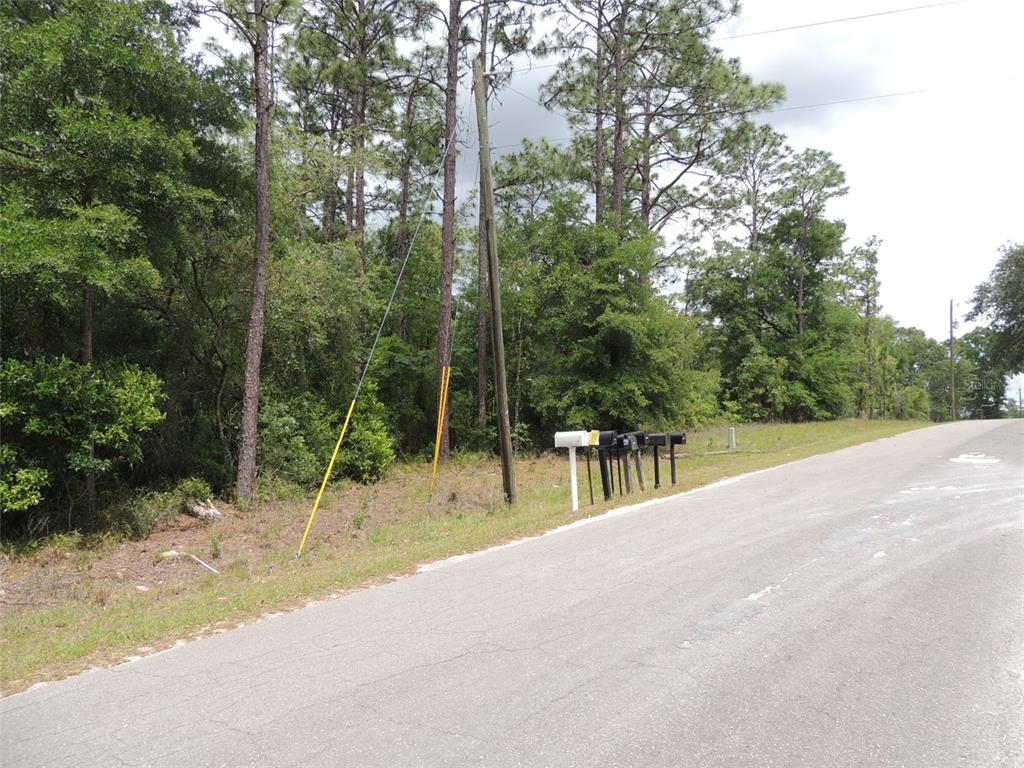 15955 NE 13TH STREET, WILLISTON, FL — photo 5 of 6