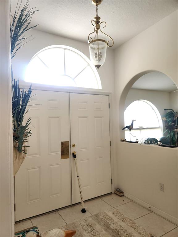 A bright entryway features double white doors, a brass pendant light, and an arched cutout — 10365 PALMWOOD PLACE, WEEKI WACHEE, FL