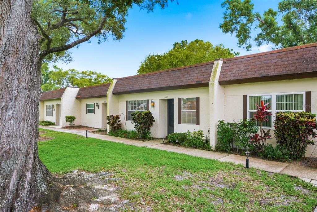 A row of single-story residential units with brown shingled roofs and a large foreground tree — 3127 MISSION GROVE DRIVE UNIT 3127, PALM HARBOR, FL