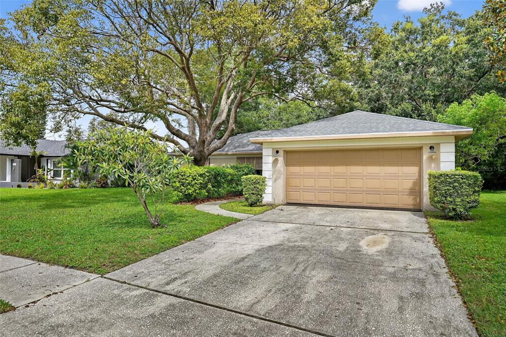 A single-story house with a tan garage door, a concrete driveway, and a large tree — 3602 PLAYER DRIVE, NEW PORT RICHEY, FL