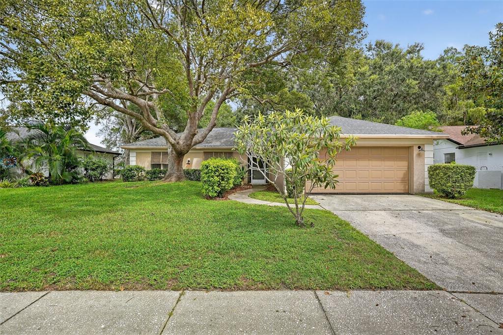 A single-story house with a tan garage, a large tree, and a green lawn — 3602 PLAYER DRIVE, NEW PORT RICHEY, FL