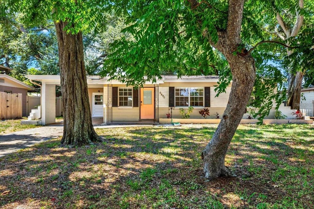 A single-story house with a peach-colored front door sits behind two large trees — 6490 34TH AVENUE N, ST PETERSBURG, FL