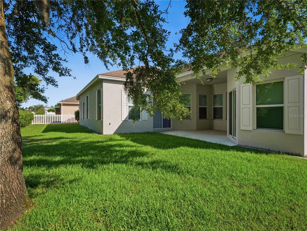 A backyard view of a light-colored house with a covered patio and green lawn — 695 GRAPE IVY LANE, NEW SMYRNA BEACH, FL