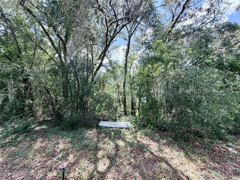 A wooded lot features a flat, rectangular object resting on the ground among the trees — 7932 N ELKCAM BOULEVARD, CITRUS SPRINGS, FL
