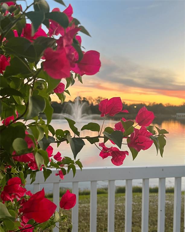 A view of a lake with a fountain at sunset, framed by bright pink bougainvillea flowers — 408 19TH STREET NW, RUSKIN, FL