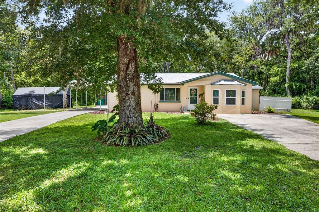 A single-story house with a metal roof, a large tree, and a concrete driveway — 5304 S JAMES TERRACE, HOMOSASSA, FL