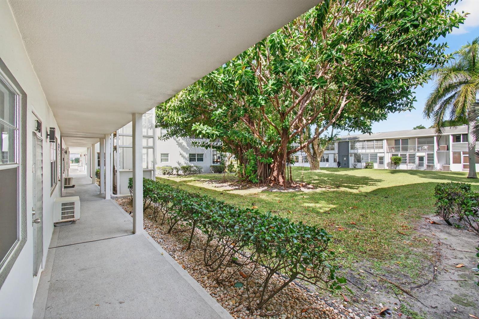 A covered outdoor walkway overlooks a grassy courtyard with a large tree and palm trees — 247 Ventnor R, Deerfield Beach FL 33442, DEERFIELD BEACH, FL