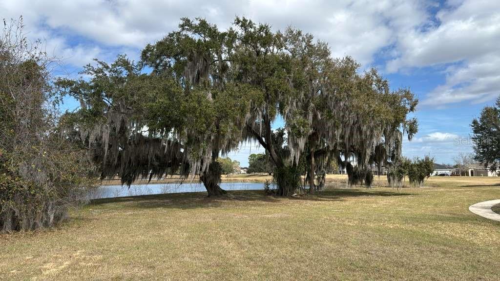 A vacant corner lot features a utility box and a sidewalk next to a house — 2231 MARSHFIELD PRESERVE WAY, KISSIMMEE, FL