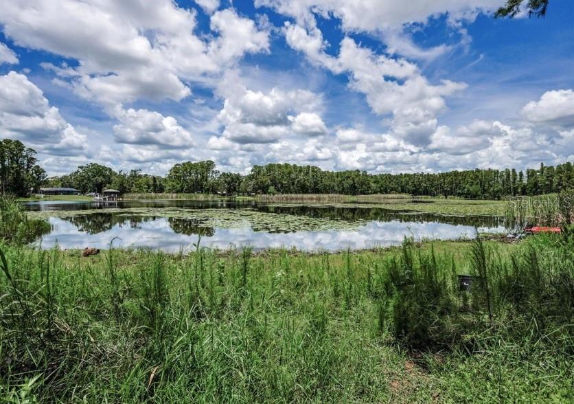 4635 COBB ROAD, LAND O LAKES, FL — photo 3 of 6