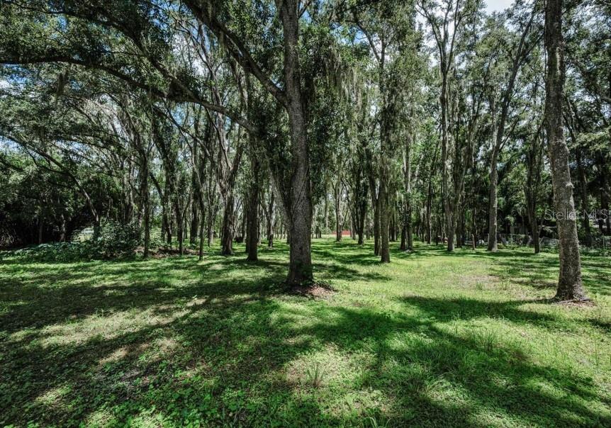 4635 COBB ROAD, LAND O LAKES, FL — photo 5 of 6