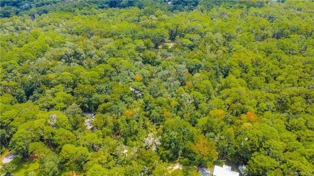 An aerial view shows a dense, wooded forest with a few small clearings and structures — 3386 S INDIANA TERRACE, HOMOSASSA, FL