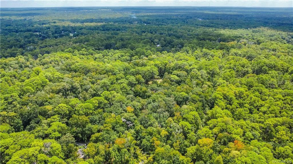 An aerial view shows a dense, lush forest landscape under a clear blue sky — 3386 S INDIANA TERRACE, HOMOSASSA, FL