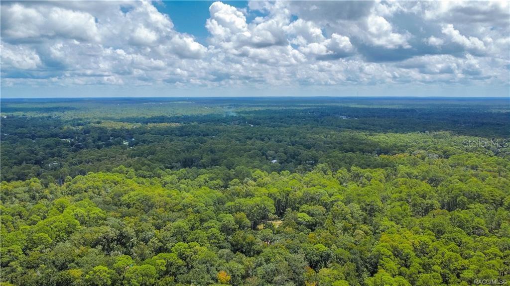 An aerial view shows a vast, dense forest under a bright, cloudy sky — 3386 S INDIANA TERRACE, HOMOSASSA, FL