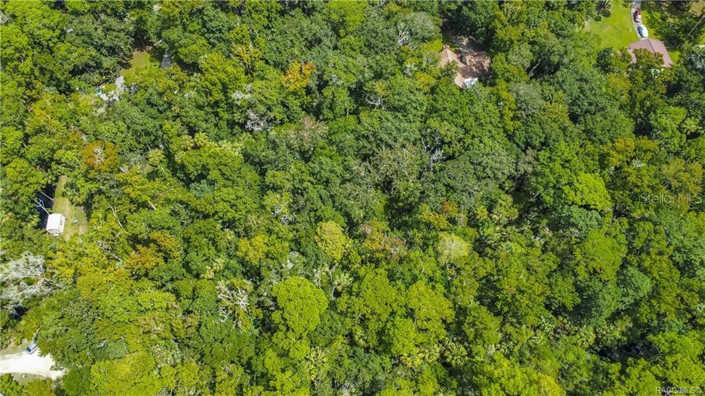 An aerial view shows a dense, wooded lot with a small shed and nearby houses — 3386 S INDIANA TERRACE, HOMOSASSA, FL