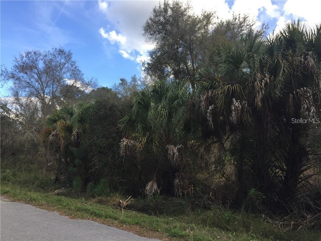 A paved road runs alongside a wooded lot with various palm trees and dense vegetation — Lot 9 HONEYCOMB CIRCLE, NORTH PORT, FL