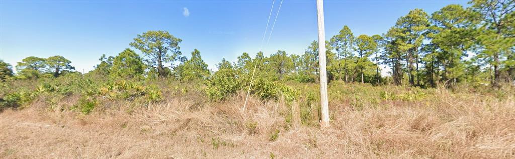 A vacant, grassy lot features scattered shrubs and pine trees under a clear blue sky — 933 FERN STREET E, LEHIGH ACRES, FL