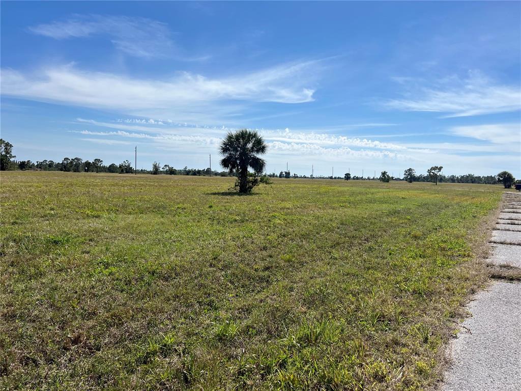 A large, flat, grassy vacant lot features a single palm tree under a blue sky — 12376 GREENLING WAY, PLACIDA, FL