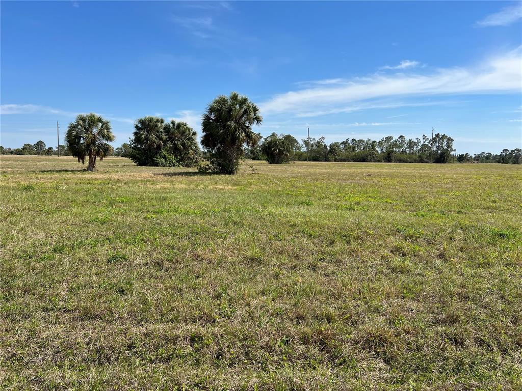 A wide, grassy field features scattered palm trees under a clear blue sky — 12376 GREENLING WAY, PLACIDA, FL