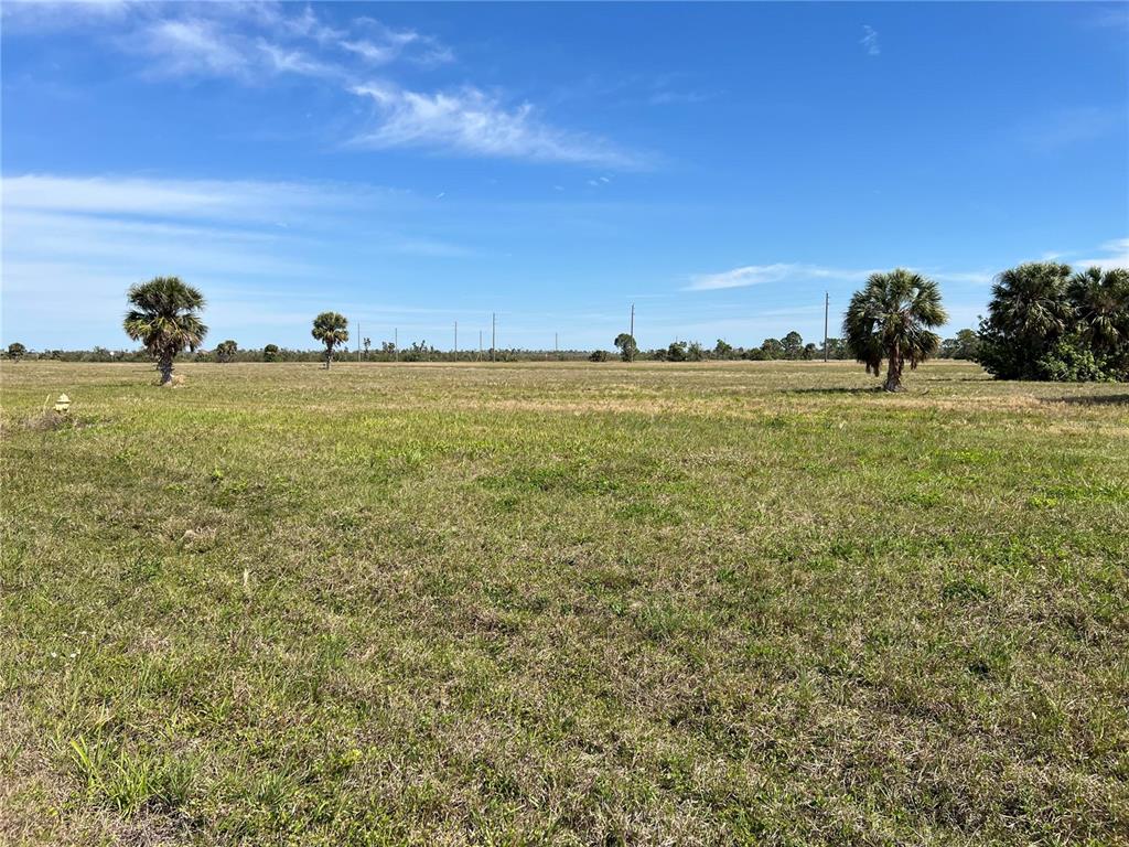 A wide, flat, grassy field under a blue sky with scattered palm trees — 12376 GREENLING WAY, PLACIDA, FL