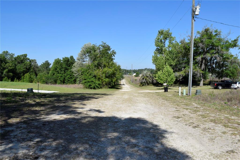 A dirt road leads through a rural landscape with trees and a utility pole — TBD SW 34 STREET, OCALA, FL