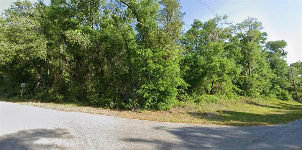 A paved road curves in front of a densely wooded, undeveloped plot of land — 6365 E PEACH STREET, INVERNESS, FL