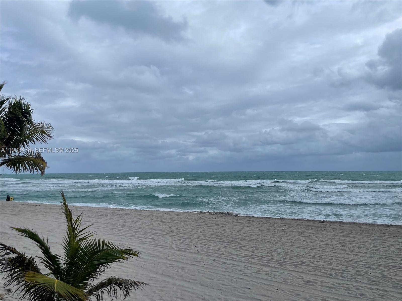 A sandy beach meets the ocean under a cloudy sky with palm fronds in view — 2030 S Ocean Dr # 805, Hallandale Beach FL 33009, HALLANDALE BEACH, FL