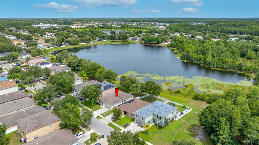 An aerial view shows a suburban neighborhood with houses bordering a large lake — 13953 JACOBSON DRIVE, ODESSA, FL