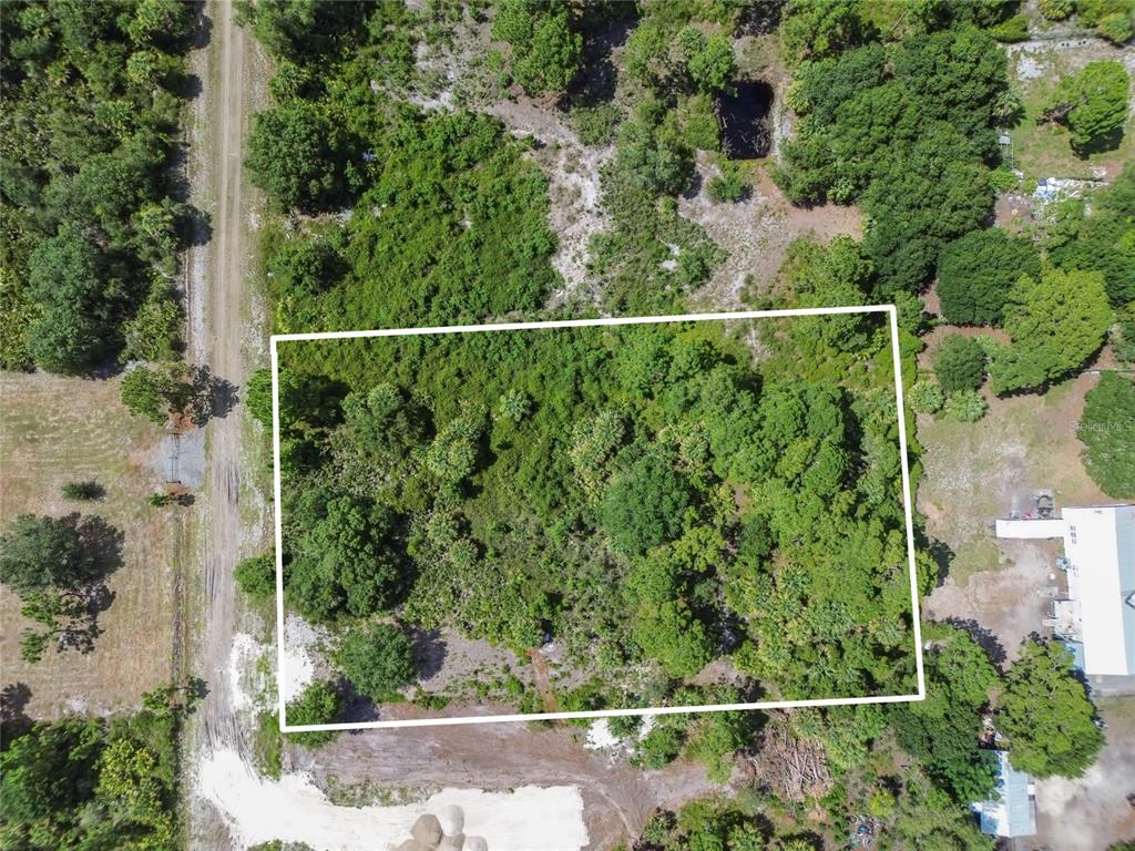 An aerial view shows a rectangular, tree-covered vacant lot outlined in white — 575 S PALOMINO STREET, CLEWISTON, FL