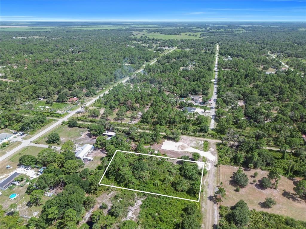 An aerial view shows a rectangular, wooded vacant lot outlined in white near a road — 575 S PALOMINO STREET, CLEWISTON, FL