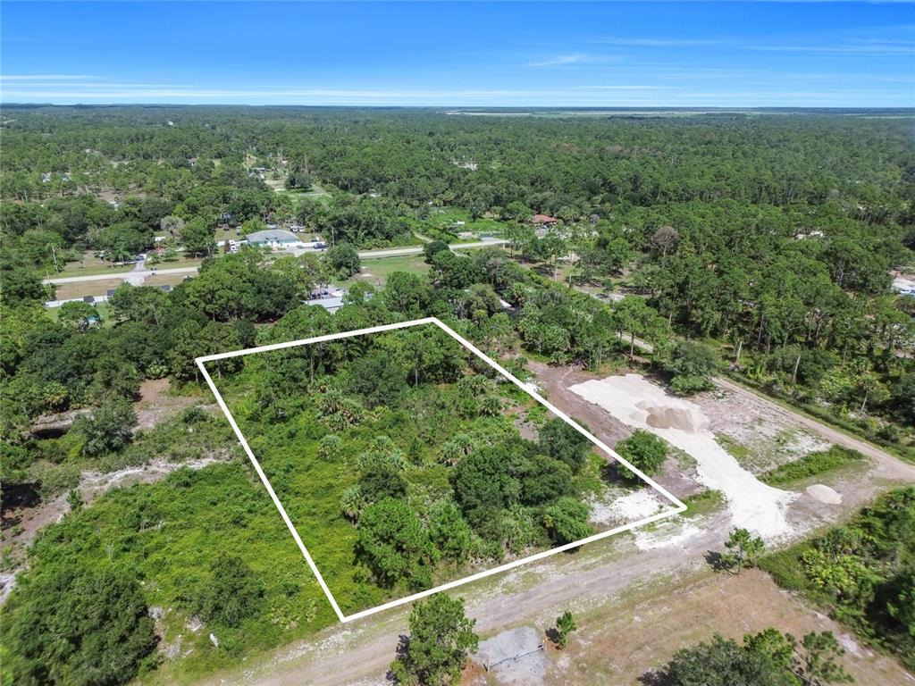 An aerial view shows a rectangular, undeveloped wooded lot outlined in white — 575 S PALOMINO STREET, CLEWISTON, FL