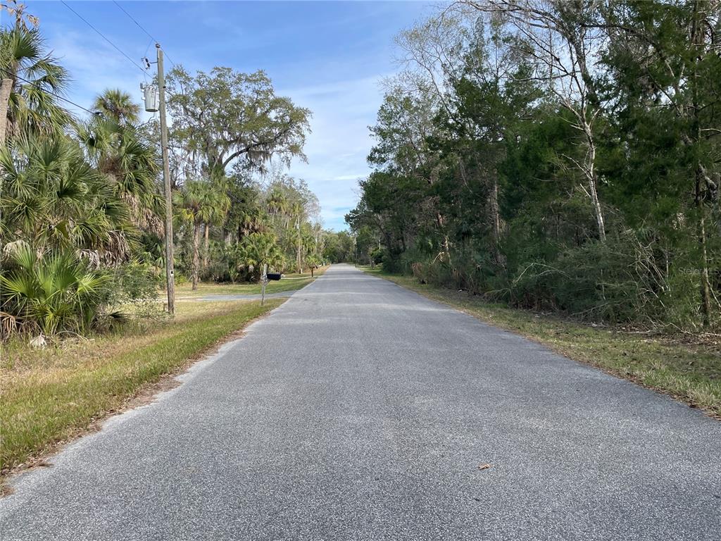 A paved road stretches into the distance, flanked by trees and vegetation on both sides — 11106 W TOWNSEND LANE, HOMOSASSA, FL