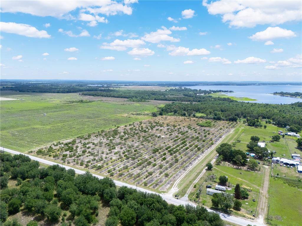 An aerial view shows a large orchard plot bordered by a road and a lake — LAKE BUFFUM ROAD W, FORT MEADE, FL