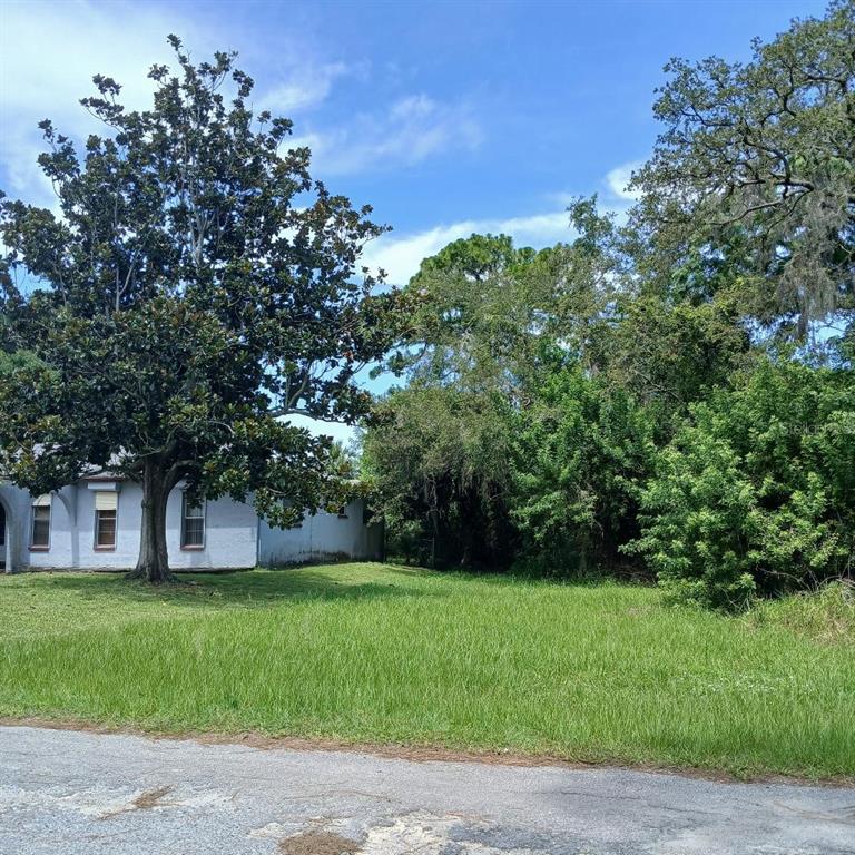LYLE CIRCLE, HUDSON, FL — photo 5 of 6