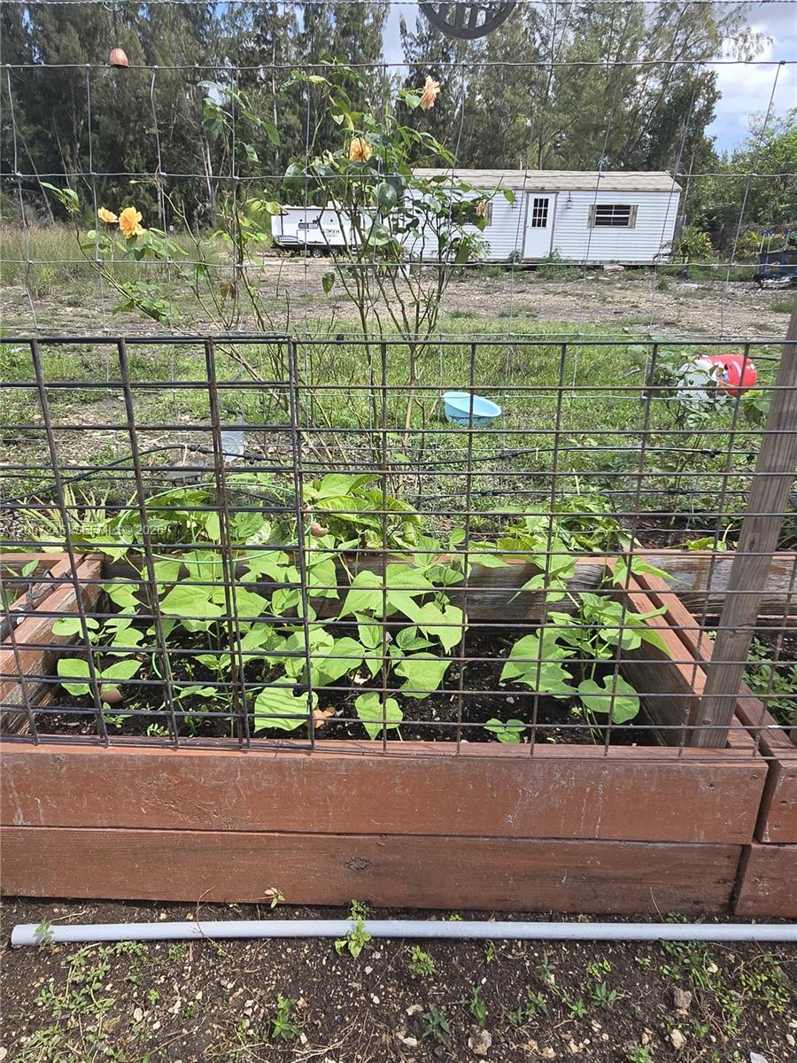 A raised garden bed with green plants sits in front of a wire fence — 14370 SW 208 AVE, Miami FL 33196, MIAMI, FL