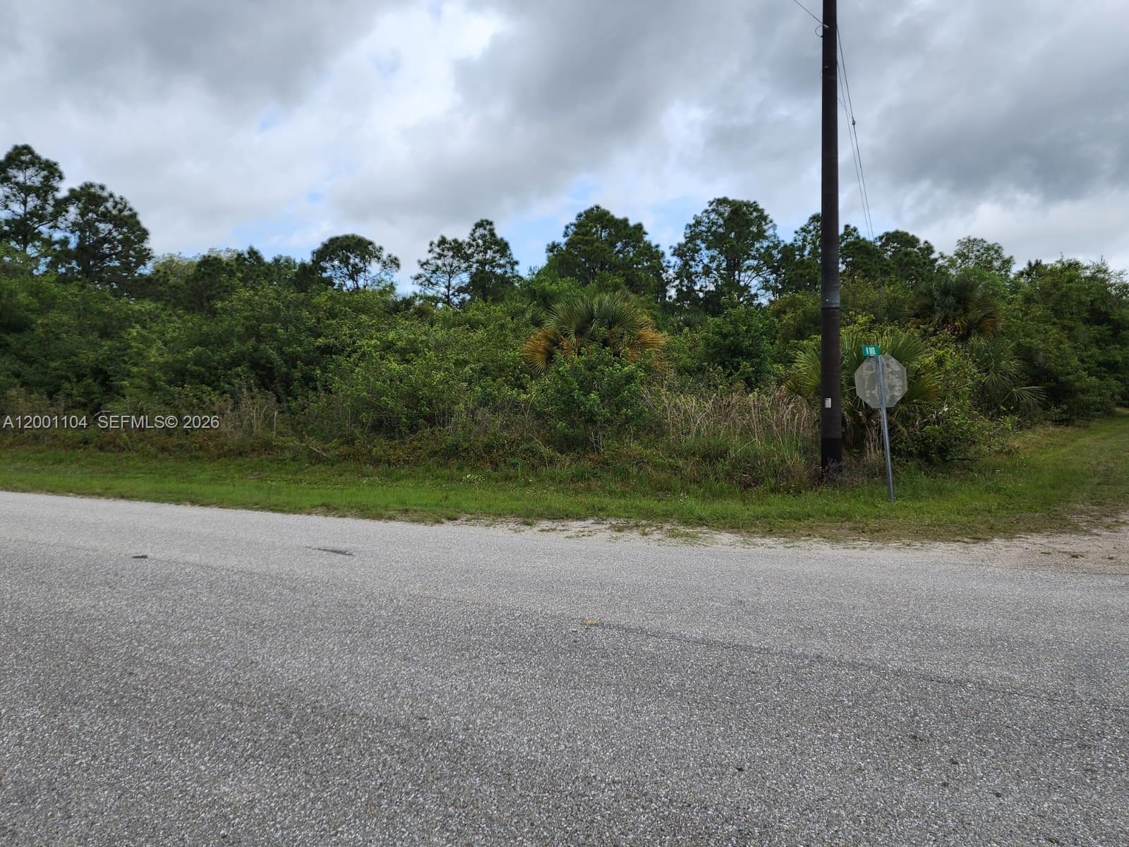 A vacant, overgrown lot sits beside a paved road with a utility pole and sign — 193 Avenida del Sur, Clewiston FL 33440, CLEWISTON, FL