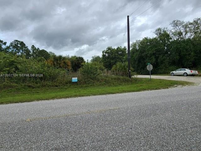 An empty, overgrown lot sits beside a paved road under a cloudy sky — 193 Avenida del Sur, Clewiston FL 33440, CLEWISTON, FL