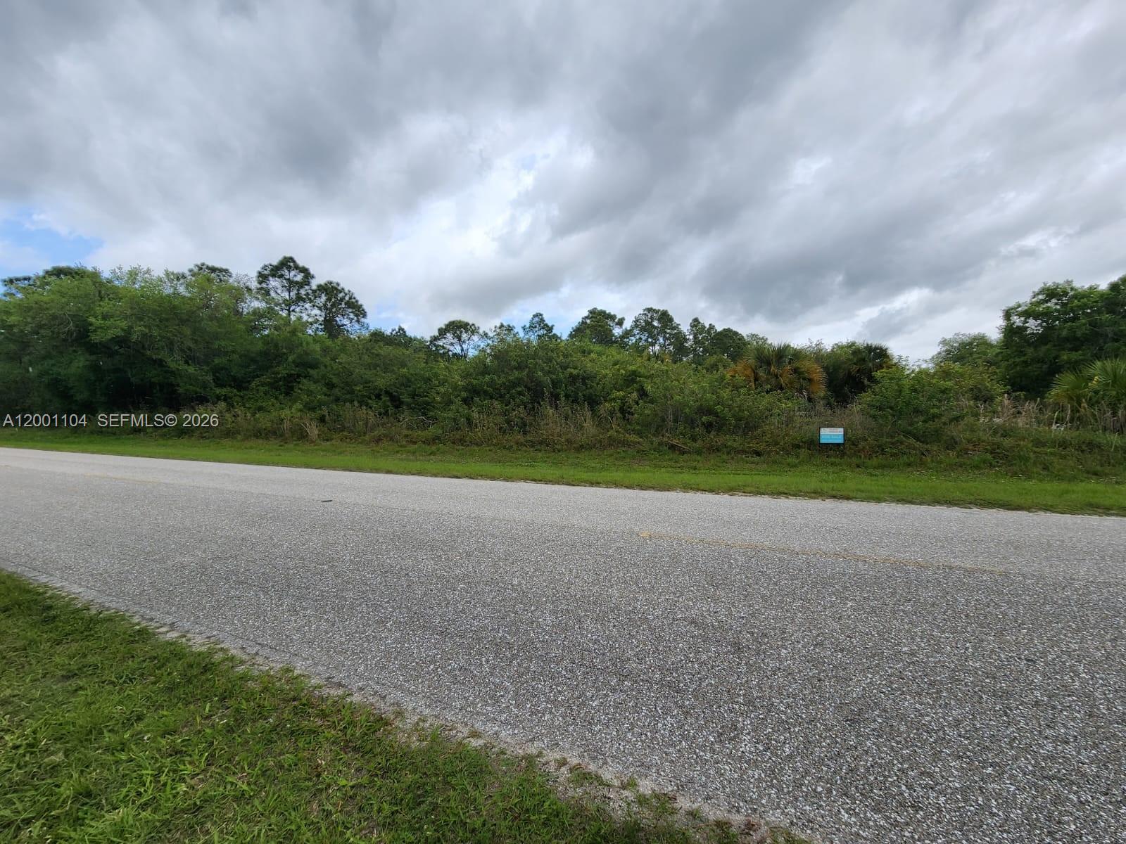 A paved road runs in front of a dense, wooded lot under a cloudy sky — 193 Avenida del Sur, Clewiston FL 33440, CLEWISTON, FL