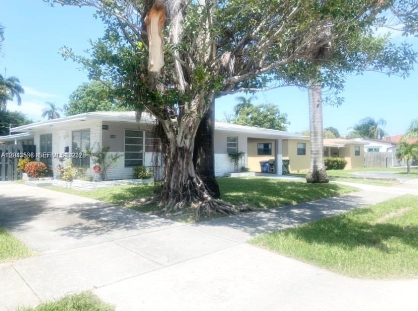 A single-story house with a large tree in the front yard and a driveway — 1005 NE 2nd St, Hallandale Beach FL 33009, HALLANDALE BEACH, FL